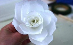 白色纸花制作方式（白色纸花制作视频）