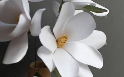 简单的白色纸花（简单的白色纸花怎么做）