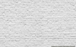 3dmax白色墙（3dmax白色墙体材质参数）