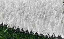 草坪白色丝状网（草坪上的白色是什么）