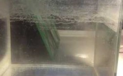 玻璃鱼缸上口白色污渍（鱼缸玻璃一层白色污垢怎么去除）