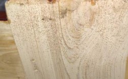 发霉木头白色虫子（木头发霉白色点点）