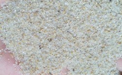白色的霜海沙（白色的沙子是海沙）