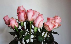 三朵白色玫瑰寓意（三朵白玫瑰三朵粉红玫瑰代表什么）