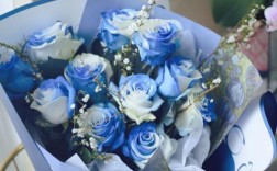 蓝白色玫瑰叫什么（蓝白色玫瑰叫什么品种）