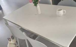 创意餐桌白色（创意餐桌白色效果图）
