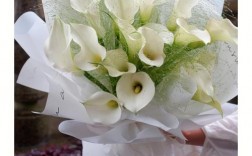 马蹄莲白色花语（白色马蹄莲花束）
