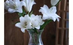 室内放白色的花（室内放白色的花有哪些）