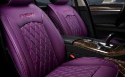 紫色白色皮座椅（汽车紫色坐垫好不好看）