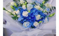 蓝色玫瑰和白色玫瑰（蓝色玫瑰白色玫瑰混搭）