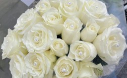 白色的玫瑰有哪（白色的玫瑰有哪些名字）