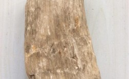 白色木化石原石（白色木化石原石值多少钱）