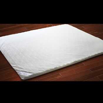 床垫白色塑料粒（床垫 白色粉末）-图2