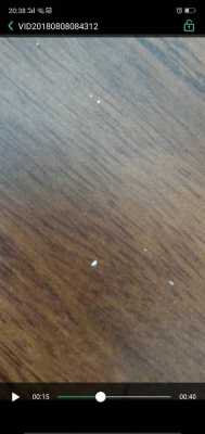 地板缝里白色虫子细长（地板缝里密密麻麻的小虫子）-图1