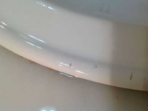 洗手盆虫子白色（洗手盆有很多小白虫）-图2