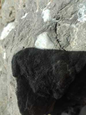 黑色岩石带白色斑点（黑色的岩石有哪些品种）-图1
