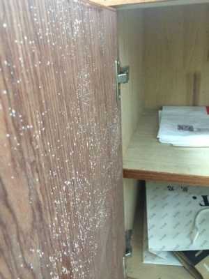 柜子木头有白色菌（房间木头柜子上长白色霉菌）-图1