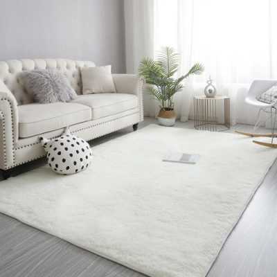 白色家具地毯（白色家具地板什么颜色）-图1