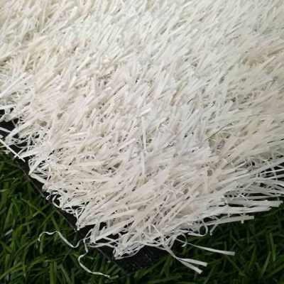 草坪白色丝状网（草坪上的白色是什么）-图2