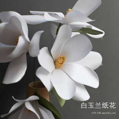 白色做的纸花（白色的花纸做的）-图3
