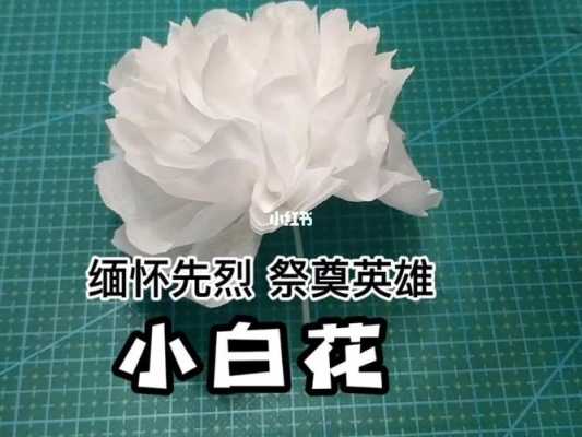 白色做的纸花（白色的花纸做的）-图2