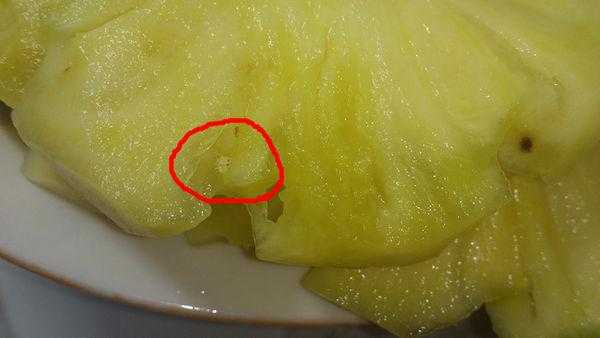 菠萝上有白色的粉末（菠萝上有白色的粉末能吃吗）-图3