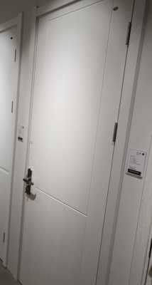 白色珍珠漆柜门（珍珠白烤漆门）-图3