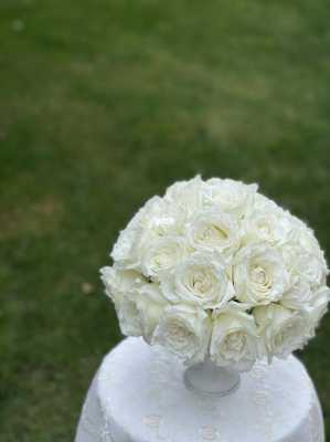 白色小球玫瑰（白色的玫瑰花叫啥）-图2