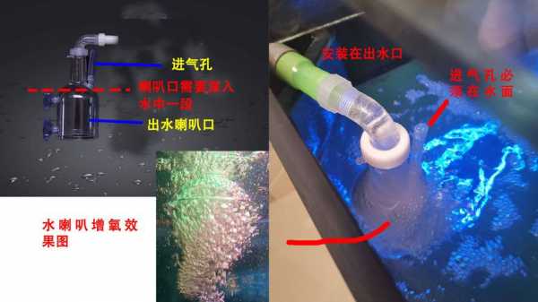 鱼缸水管内白色果冻（鱼缸水管内白色果冻是什么）-图2