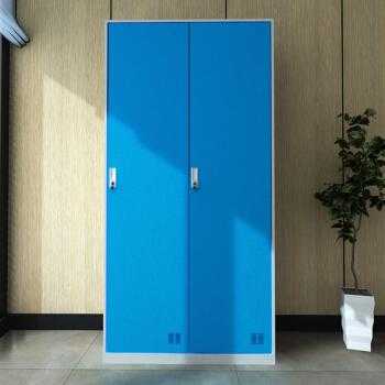 白色柜体蓝色柜门（衣柜柜体蓝色柜门白色）-图2