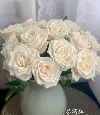 米白色玫瑰（米白色玫瑰花代表什么意思）-图1
