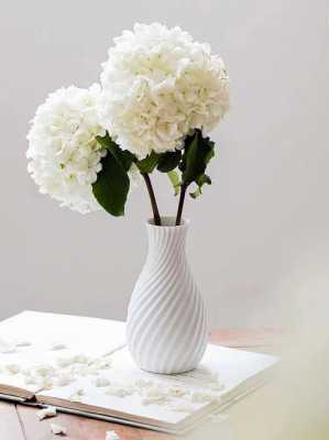 花瓶白色好看吗（花瓶白色好看吗女生）-图1