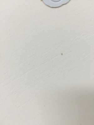 壁纸上的白色虫子（墙纸上有很小很小的虫）-图2