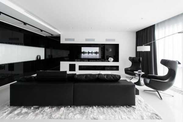 黑白色装修客厅（黑白色客厅配什么颜色沙发）-图3