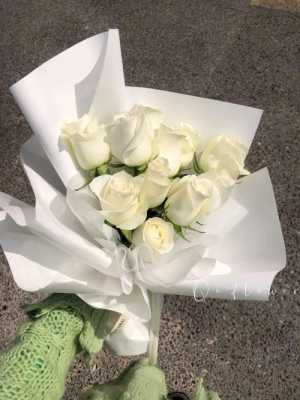 纯白色玫瑰（白色玫瑰是）-图3