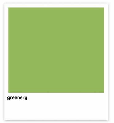 绿白色是什么颜色（绿白色是什么颜色的图片）-图2