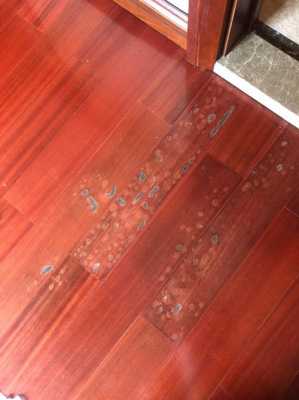 地板缝白色泡沫（地板缝隙有白色絮状物）-图3