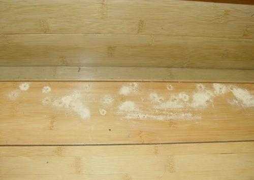 地板有白色粉（地板上有粉末怎么回事）-图1