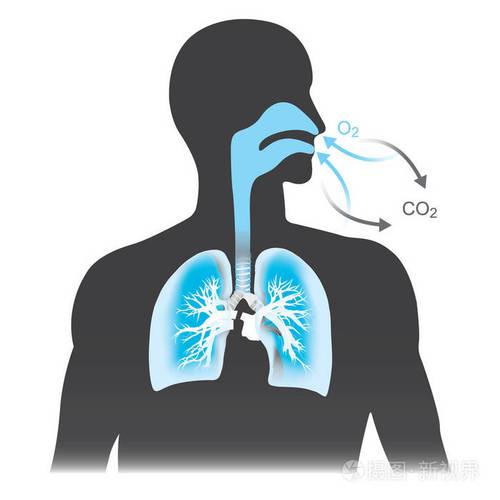 呼吸白色系（呼吸出白色雾气是什么原因）-图3