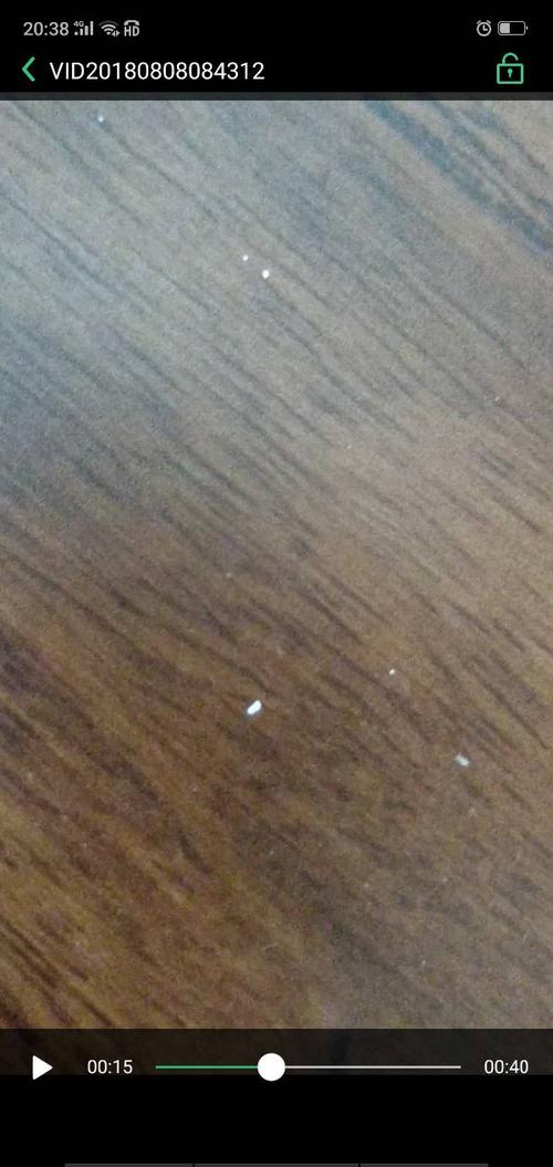 实木地板白色虫子（木地板 白色虫子）-图2