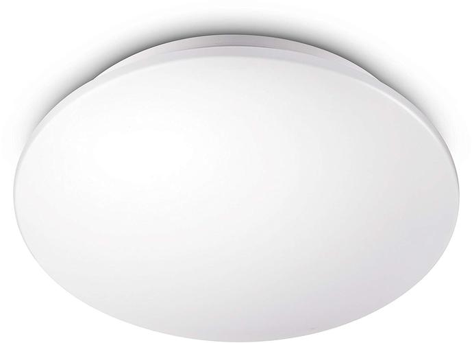 天花板白色碗（天花板白色碗型 设备）-图3