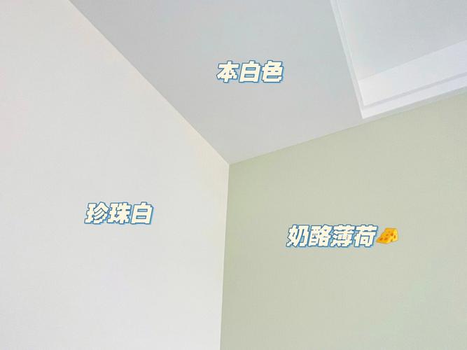 屋内刷漆颜色白色（油漆刷白色还是有颜色的）-图2
