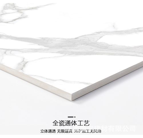 大板白色瓷砖（白色瓷砖好打理吗）-图2