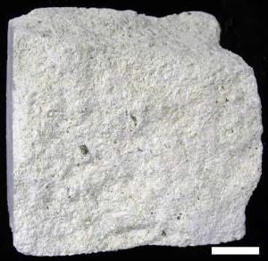 灰白色板岩矿物组成（灰白色灰岩）-图1