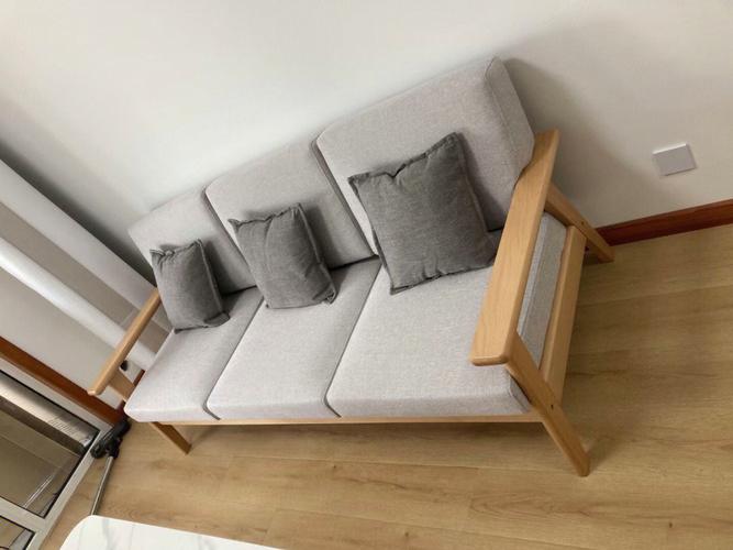 白色现代简约沙发（简约白色实木沙发图片大全）-图1