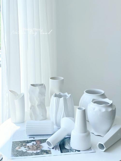 白色花瓶的图片及价格（白色的花瓶配什么颜色好看）-图3
