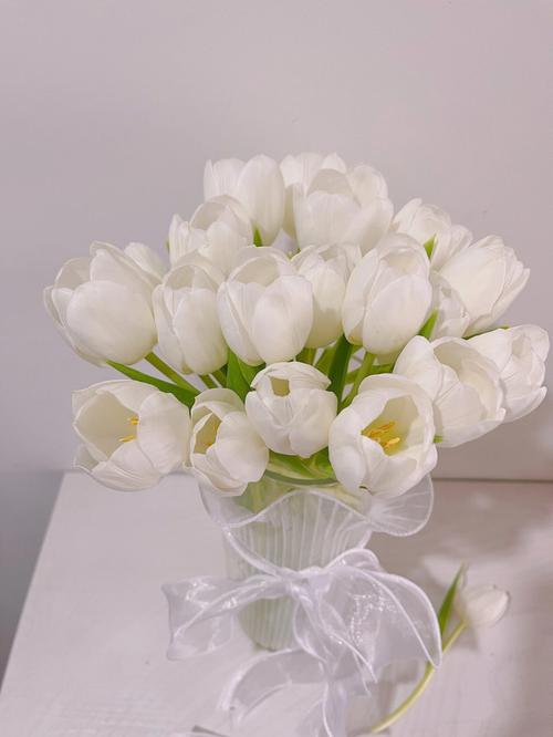 白色郁金香图片和花语（白色郁金香叫什么名字）-图2