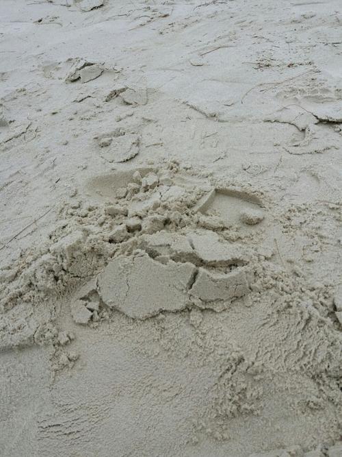 白色沙子风水（白色沙子图片）-图1