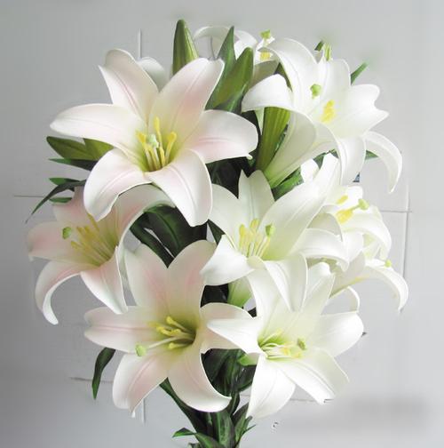 白色百合胸花（白色百合花种类）-图3