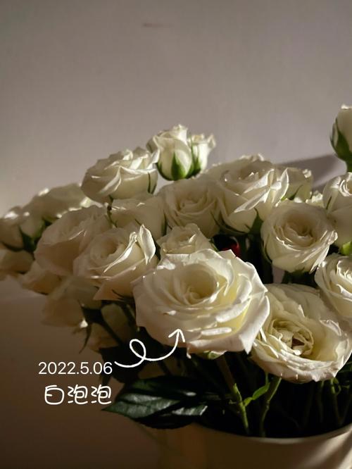 白色多头玫瑰（白色多头玫瑰多少钱）-图2
